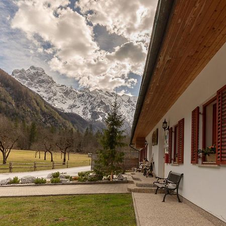 Hisa Ojstrica Bed & Breakfast Solcava Exterior photo