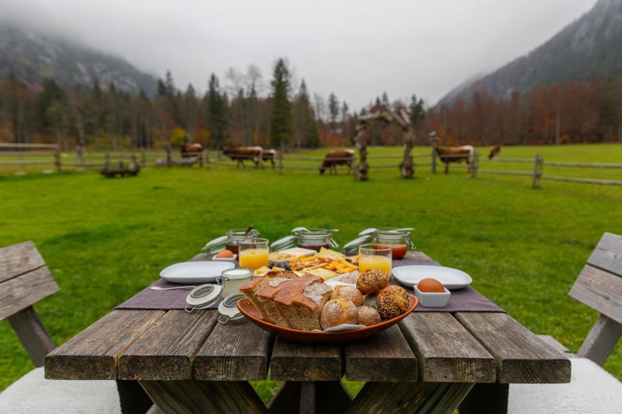 Hisa Ojstrica Bed & Breakfast Solcava Exterior photo