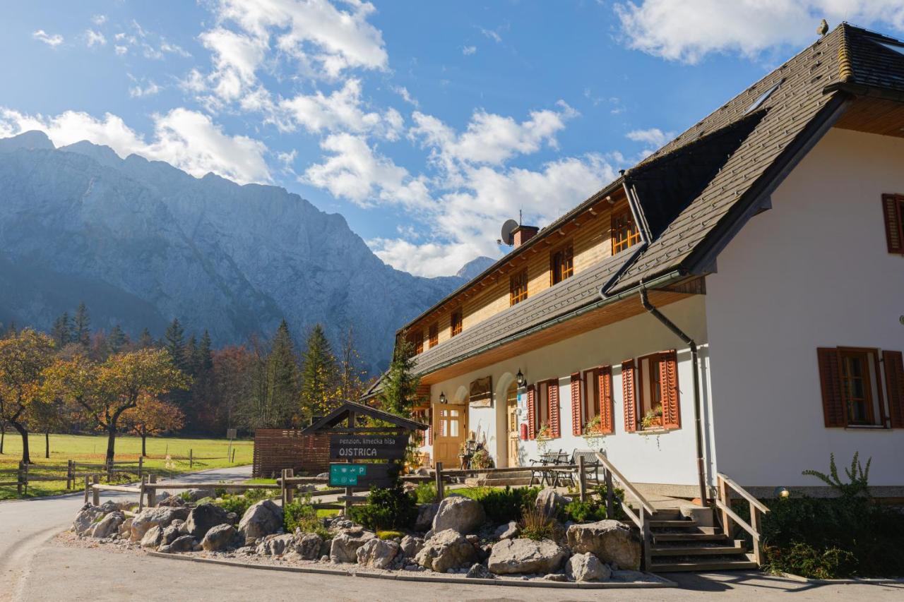 Hisa Ojstrica Bed & Breakfast Solcava Exterior photo