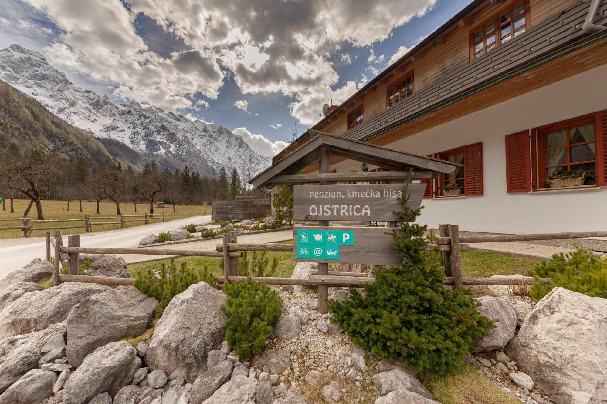 Hisa Ojstrica Bed & Breakfast Solcava Exterior photo