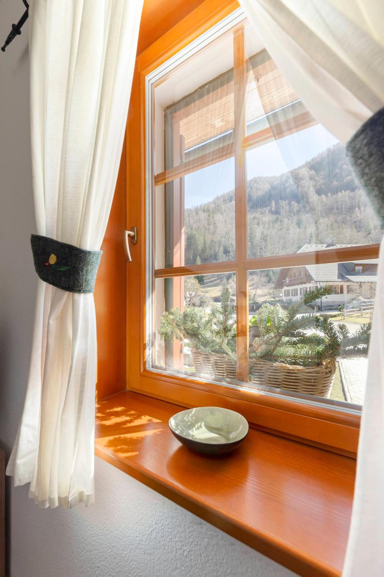 Hisa Ojstrica Bed & Breakfast Solcava Exterior photo